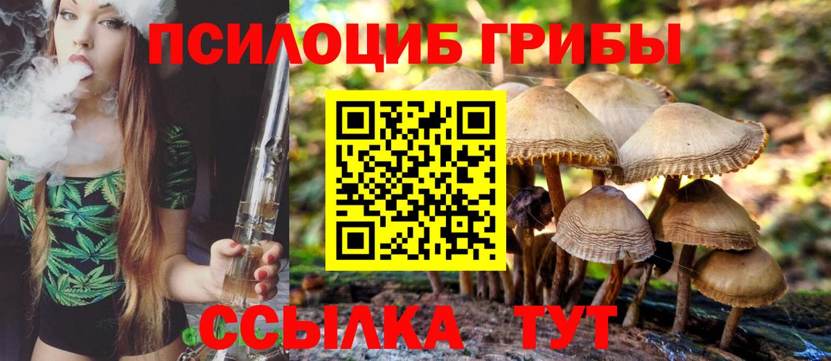 Псилоцибиновые грибы Magic Shrooms Новокузнецк